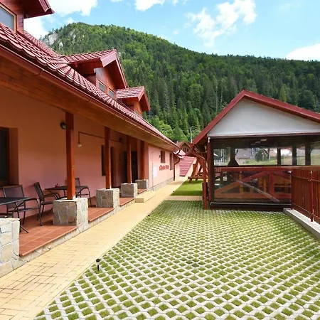 Pelc Stratená